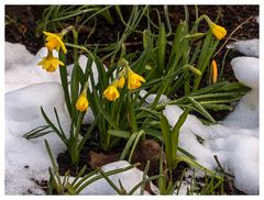 Frühling & Winter