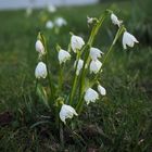 Frühling wir kommen !!