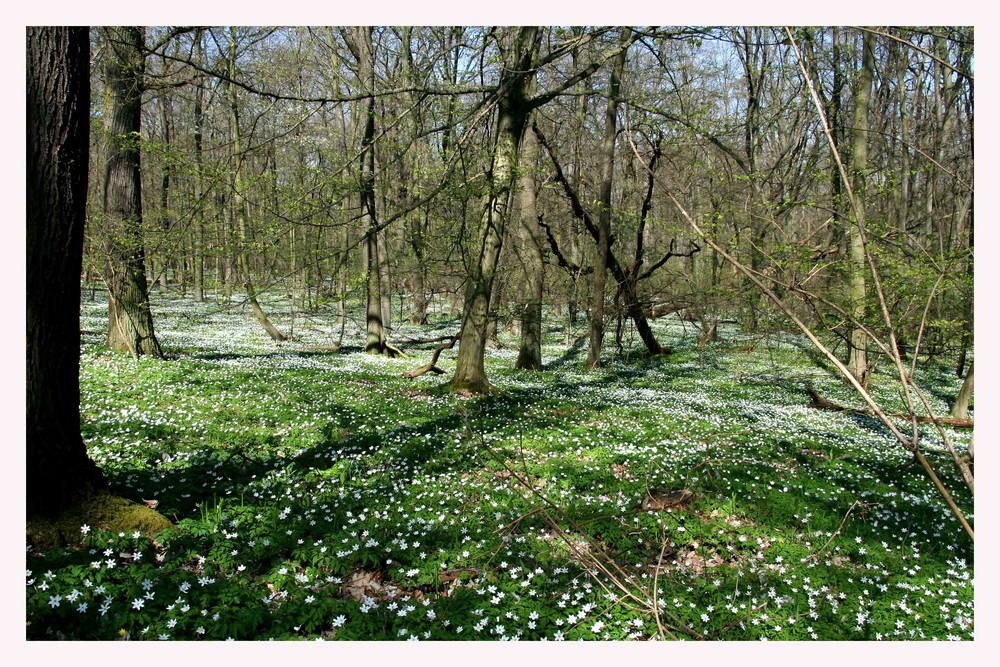 Frühling? Wir sind dabei!