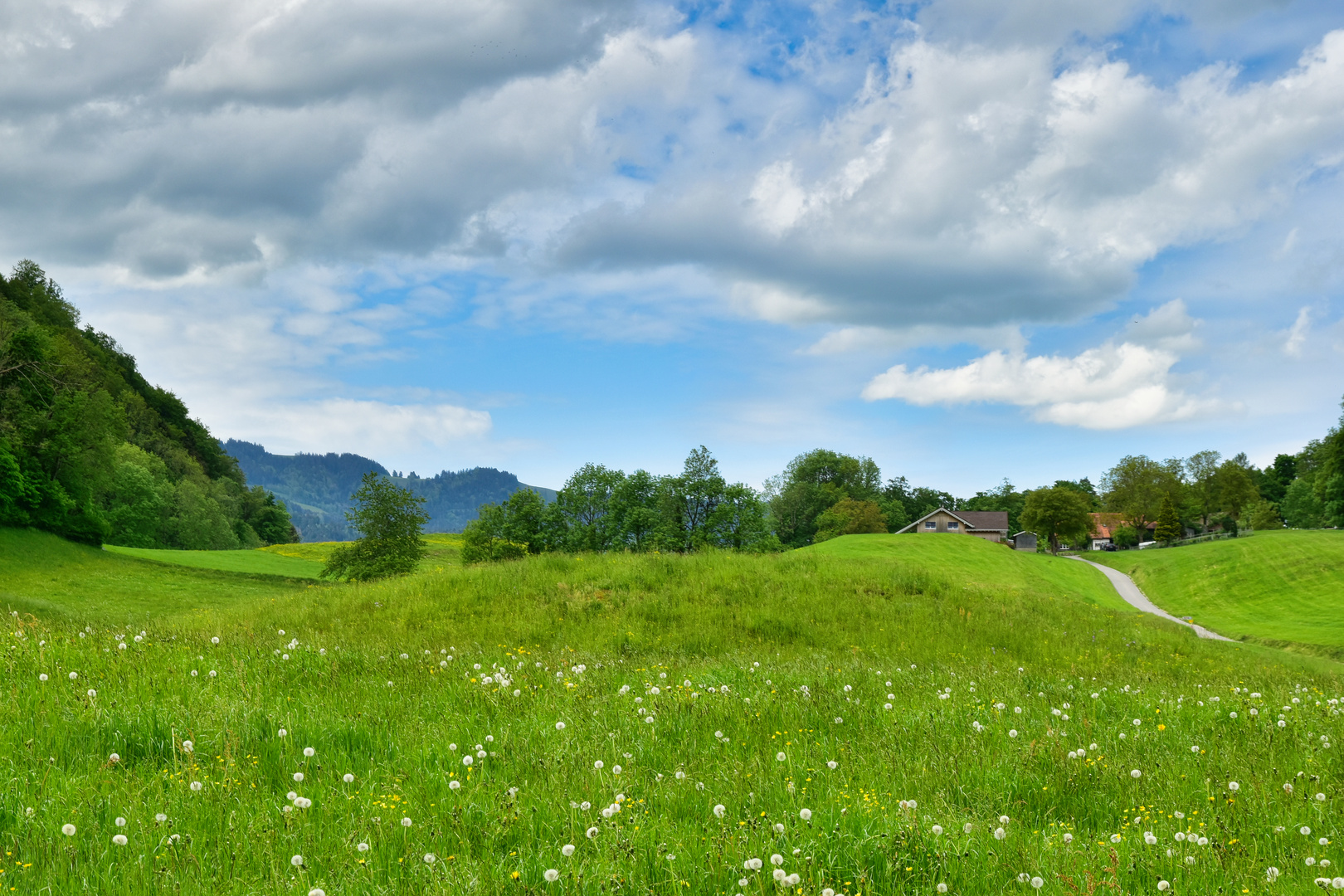 Frühling wir vermissen dich