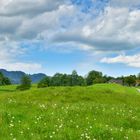 Frühling wir vermissen dich