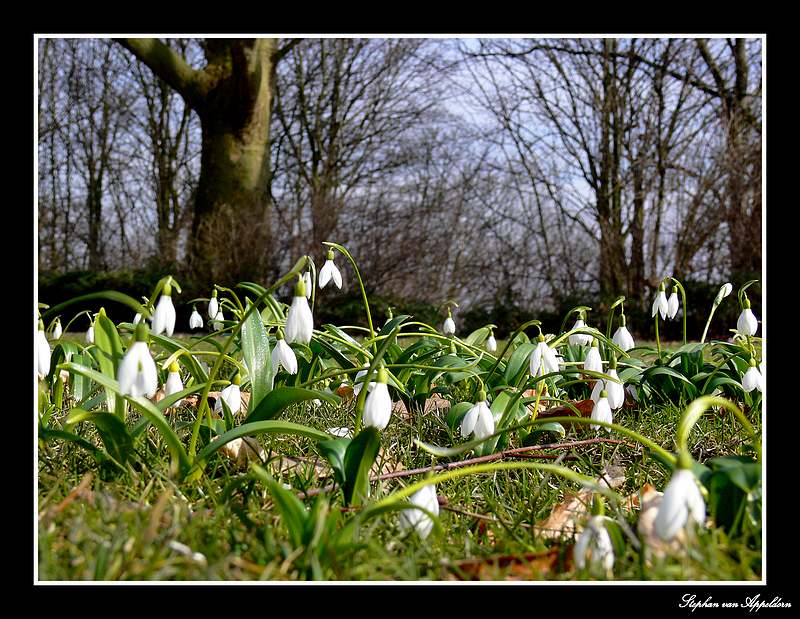 Frühling wird eingeläutet...