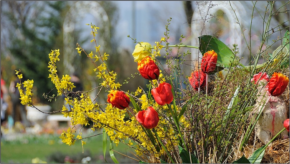 frühling wird es nun bald