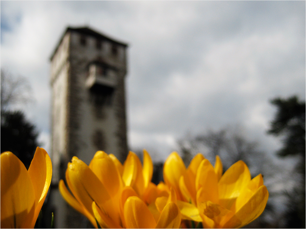 Frühling wird's