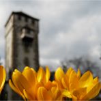 Frühling wird's