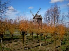 Frühling wird's im Hessenpark