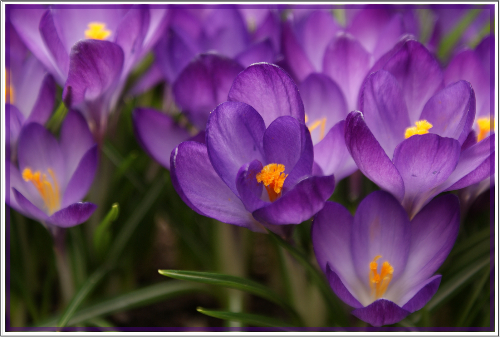 Frühling, wo bist du?