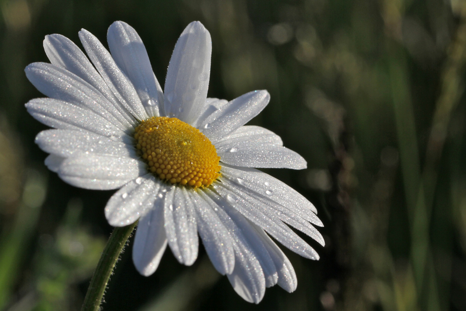 Fruhling Wo Bist Du Foto Bild Kalt Wasser Sonne Bilder Auf Fotocommunity