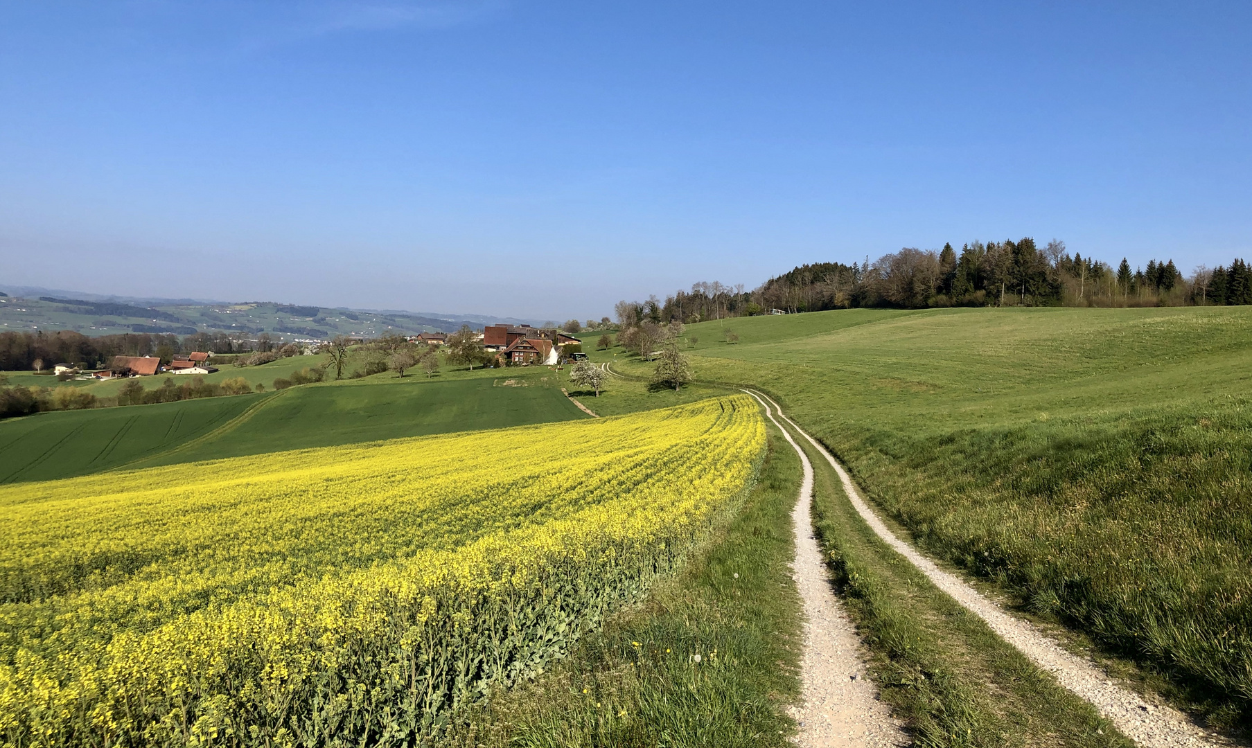 Frühling, wo bist du?