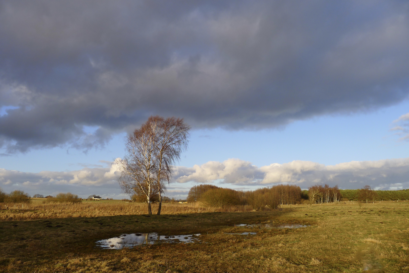 Frühling wo bist du?