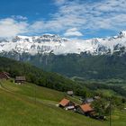 Frühling, wo bleibst du?