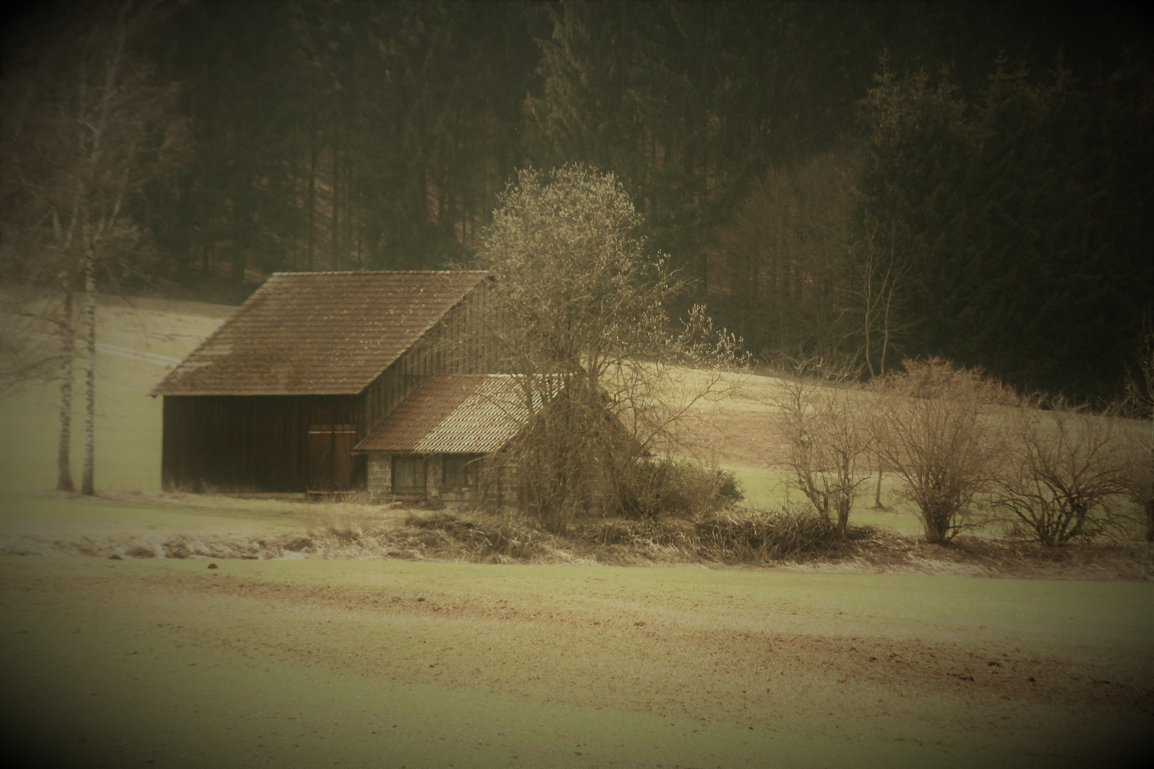 Frühling zaghaft 