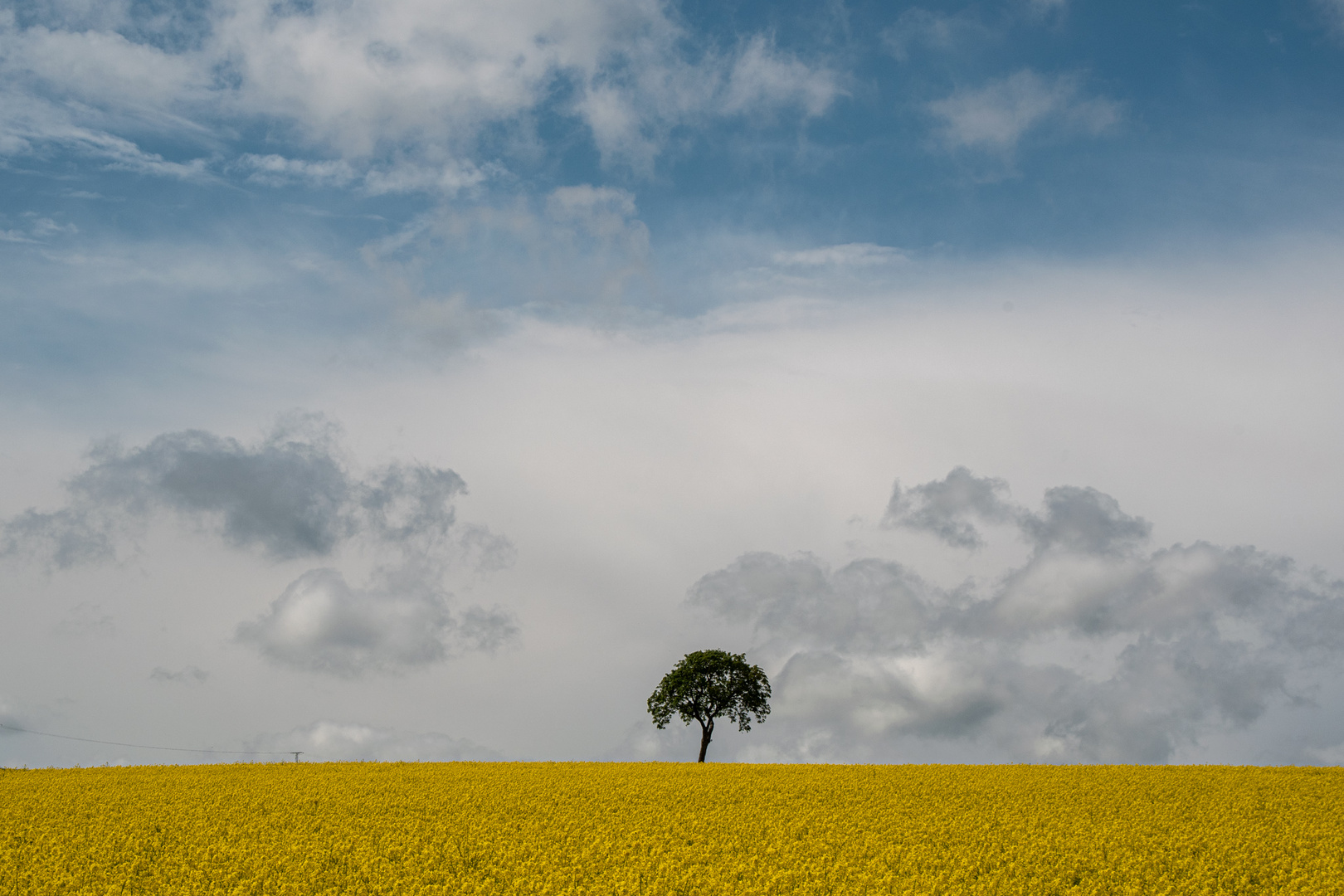 Frühling zeit. 