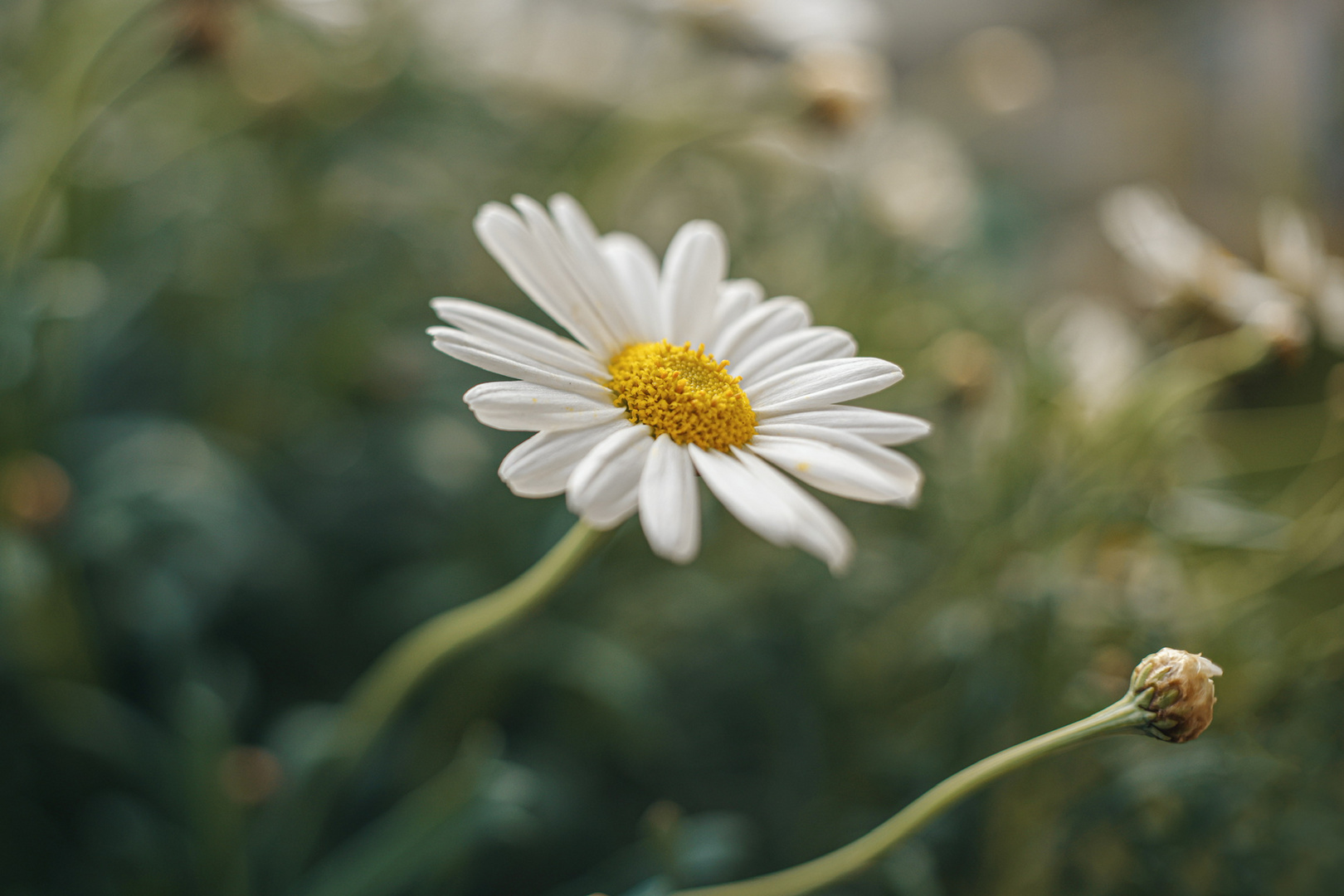 Frühling… Zeit zu fliegen!