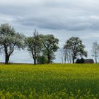 Frühling zieht ins Land