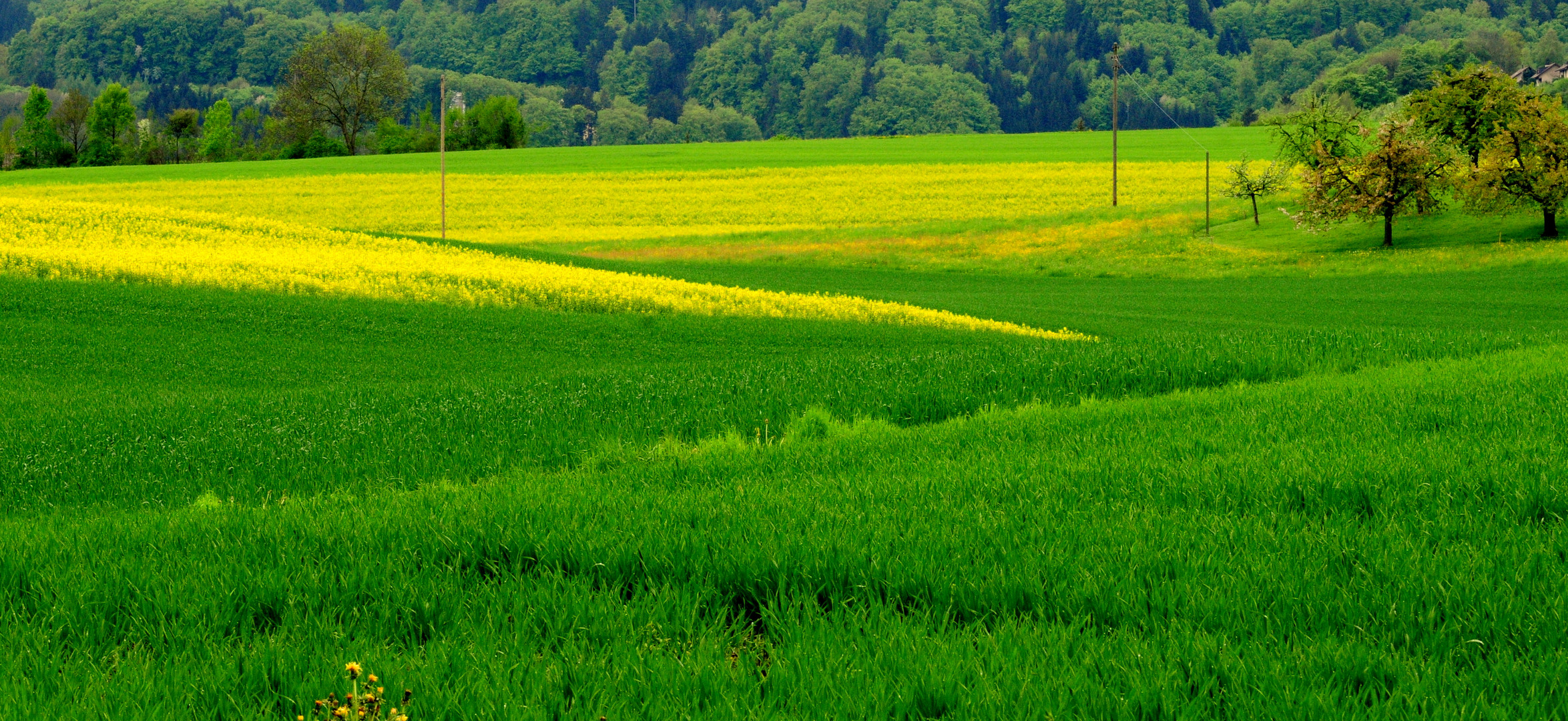 Frühling, zögerlich