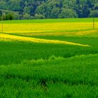 Frühling, zögerlich