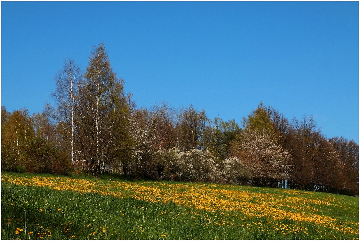 Frühling zu Hause