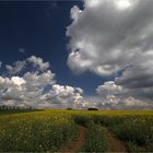 Frühling zu hause...