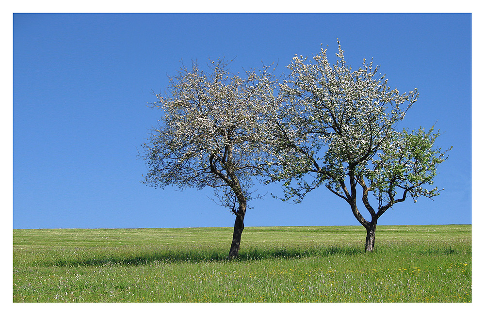 Frühling zu zweit