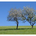 Frühling zu zweit