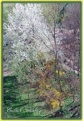 Frühling1