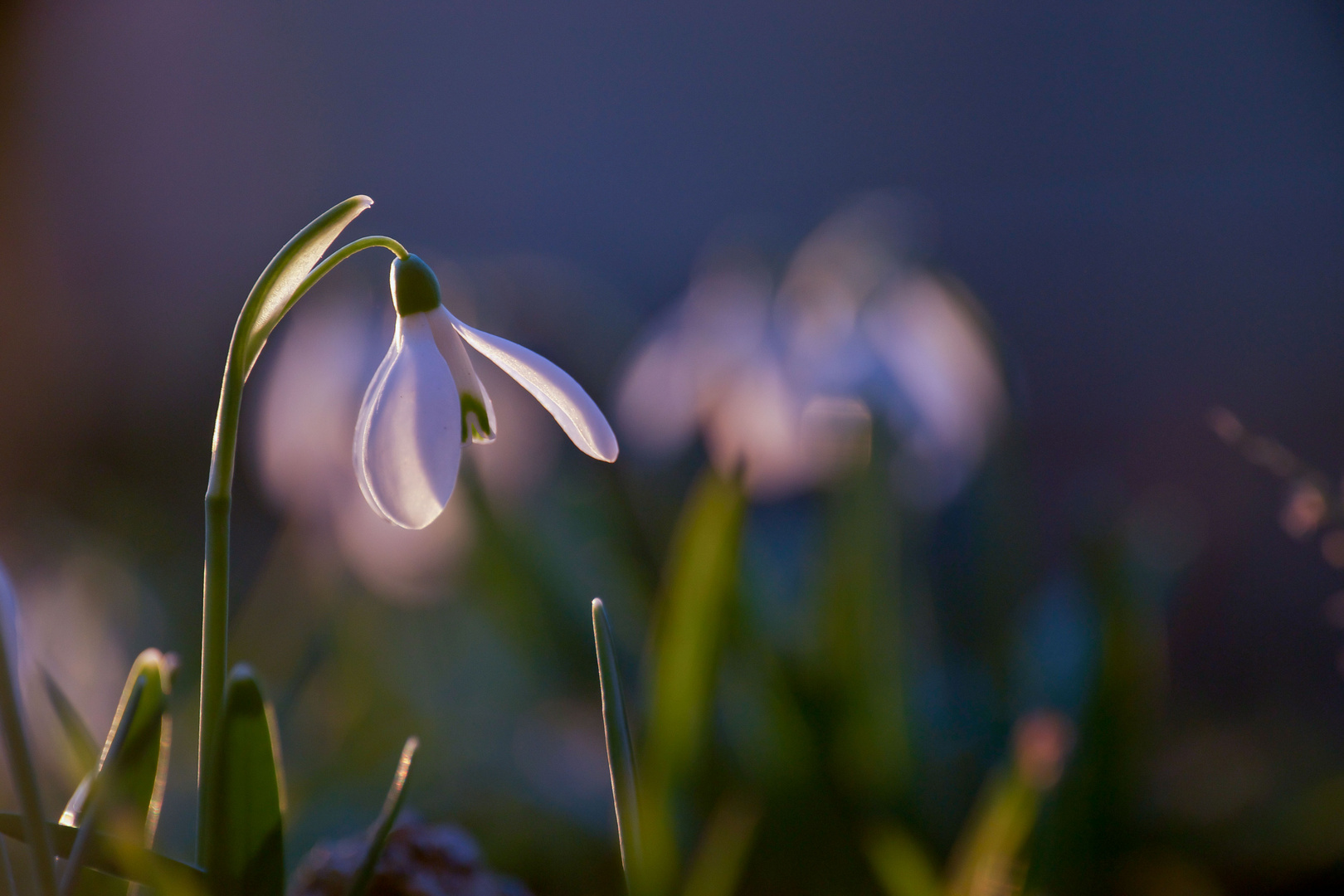 Frühling'15