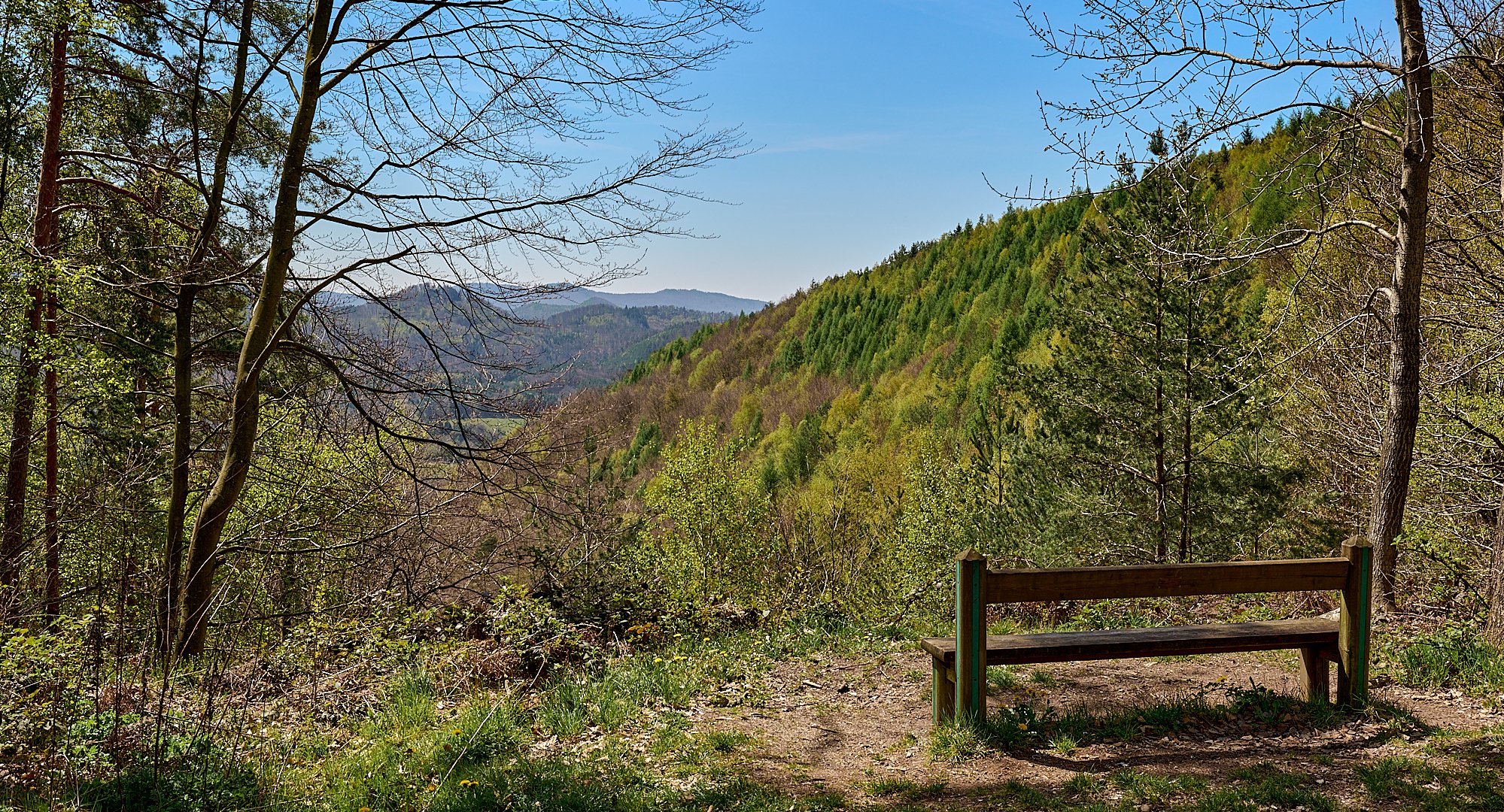 Frühlingausblickgenießerbank, die Lärchen zeigten sich in satten Frühlingsfarben auf... 