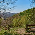 Frühlingausblickgenießerbank, die Lärchen zeigten sich in satten Frühlingsfarben auf... 