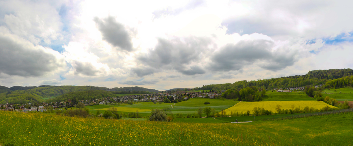 Frühlinghaftes Pfeffingen (Kt.BL)