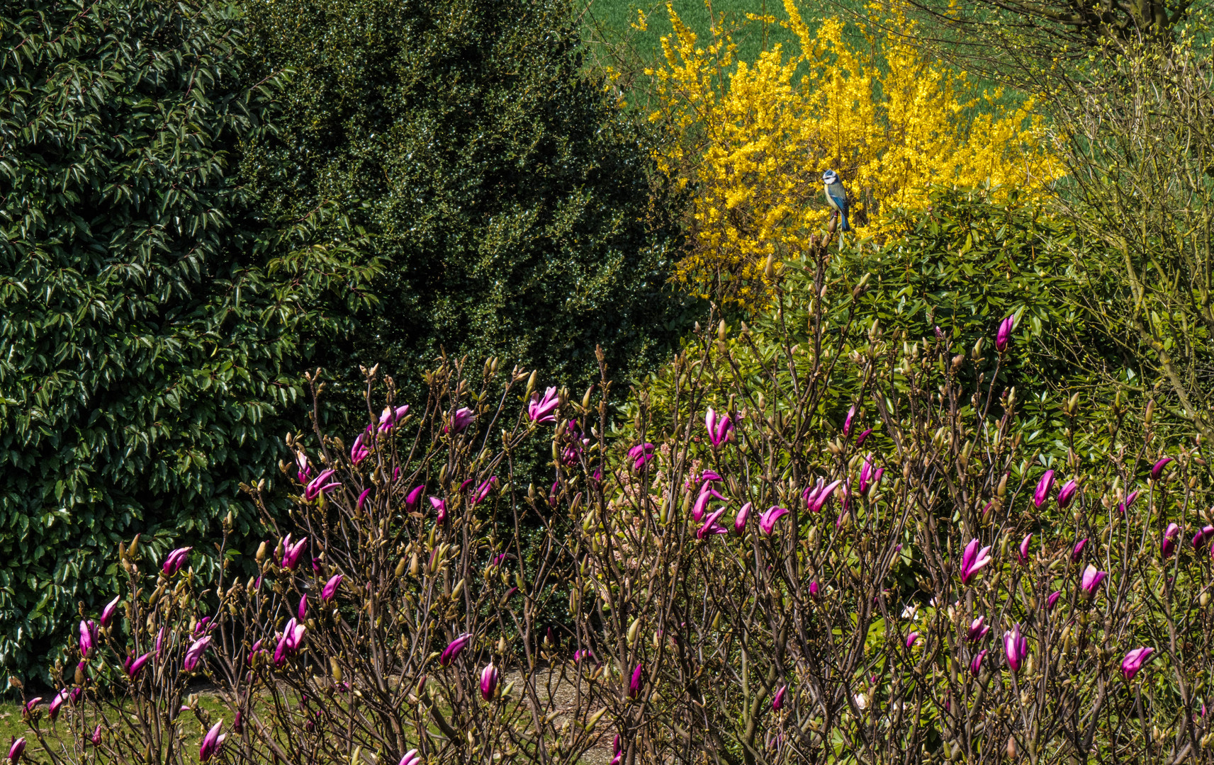 Frühlings-Allerlei