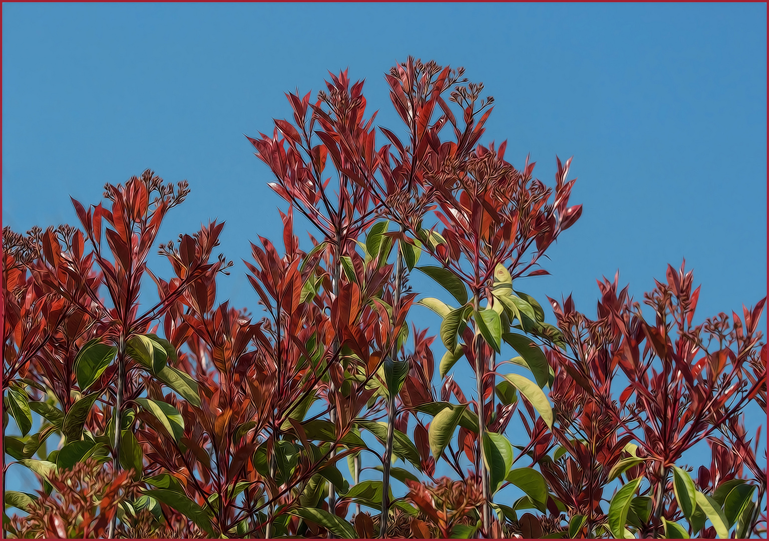 Fruehlings -(Anfang) -Farben