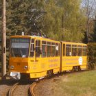 Frühlings Ausflug mit der Thüringer Waldbahn 1.