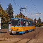 Frühlings Ausflug mit der Thüringer Waldbahn 3.