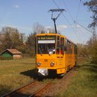 Frühlings Ausflug mit der Thüringer Waldbahn 5.