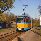 Frühlings Ausflug mit der Thüringer Waldbahn 8.