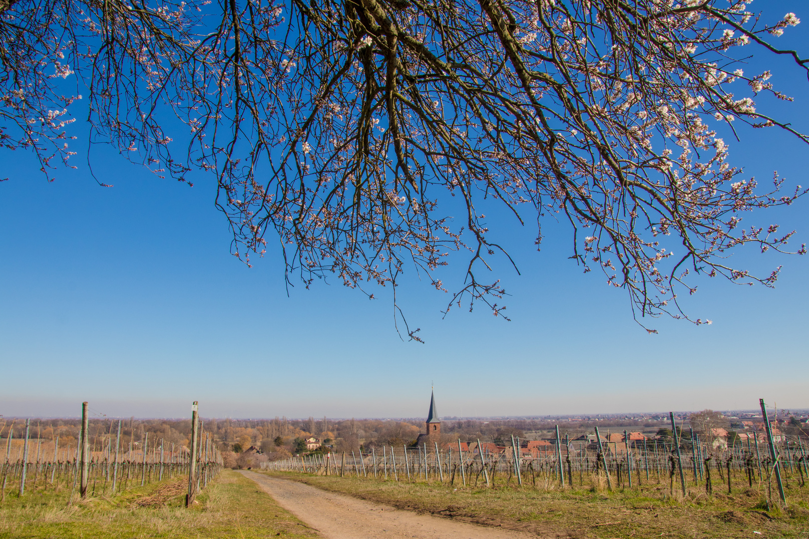 Frühlings-Aussichten