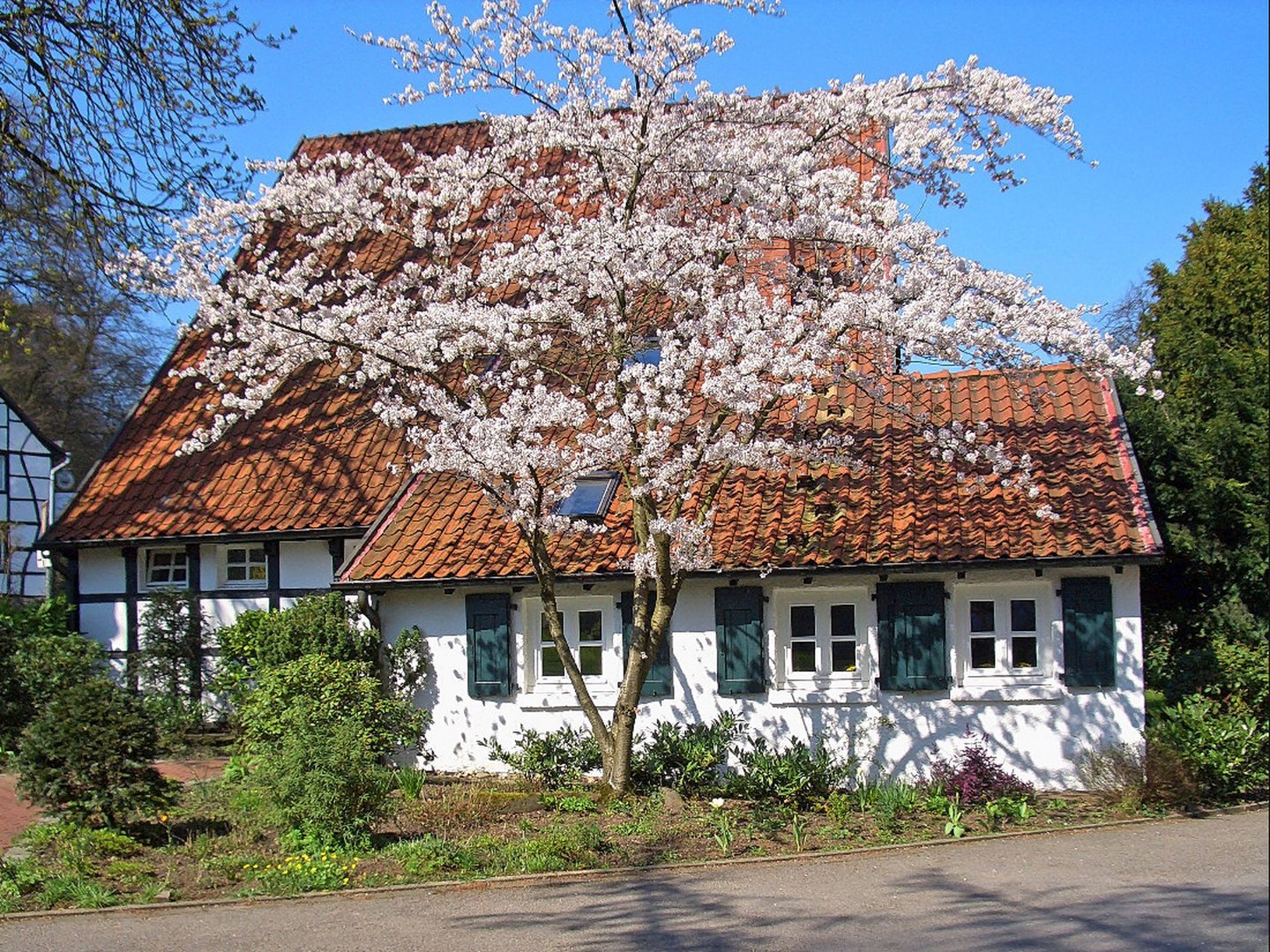 Frühlings Begegnung