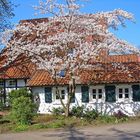 Frühlings Begegnung