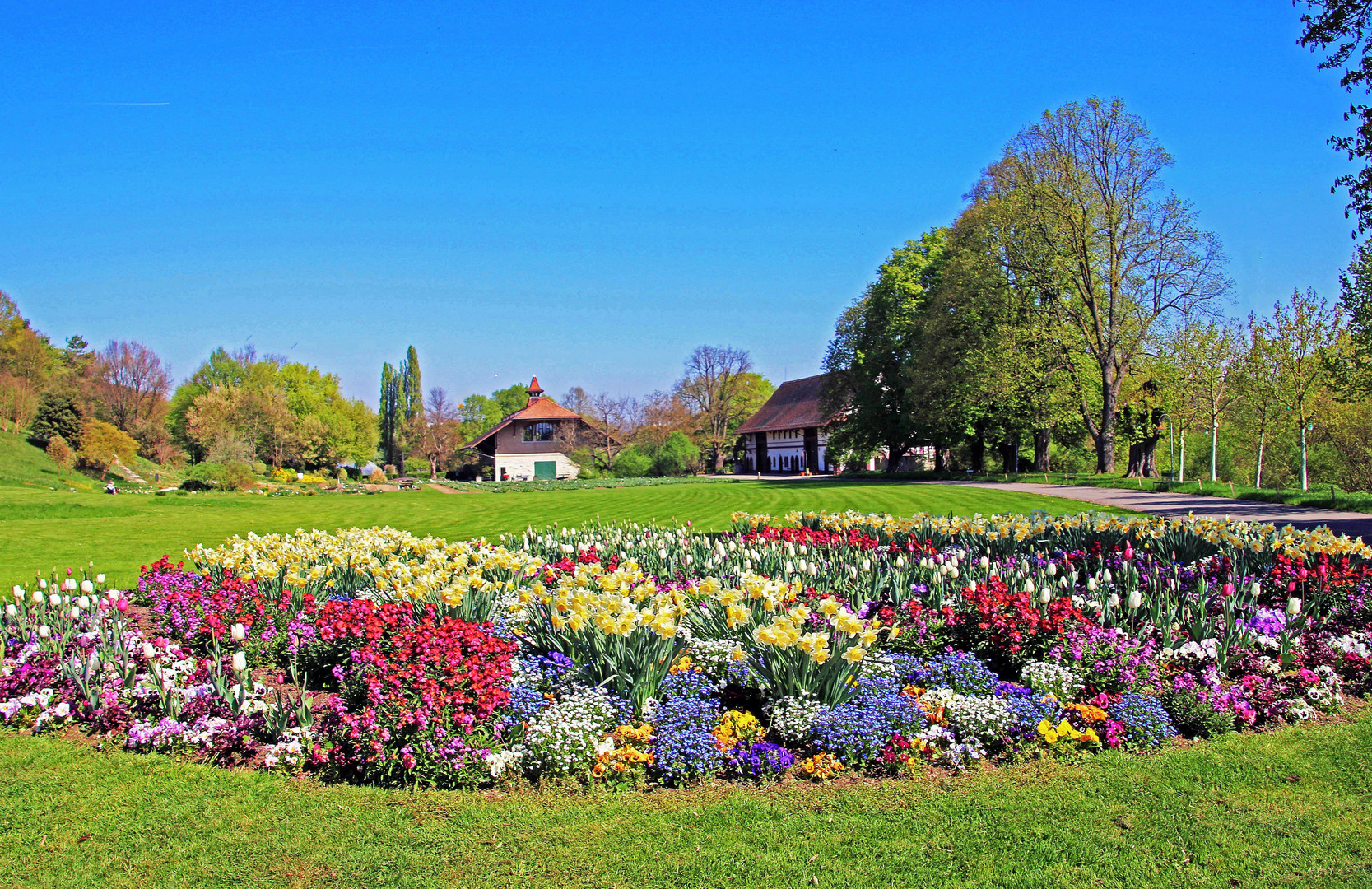 Frühlings-Blumenpracht