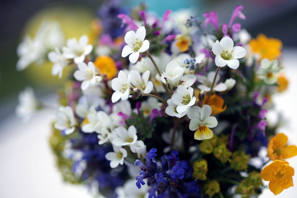 Frühlings - Blumenstrauß