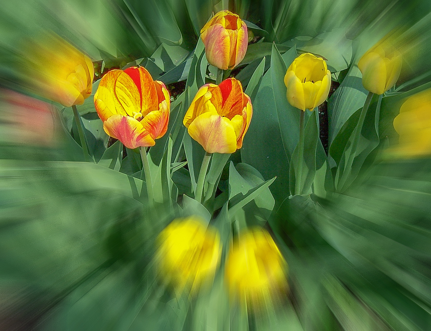 Frühlings-Boten