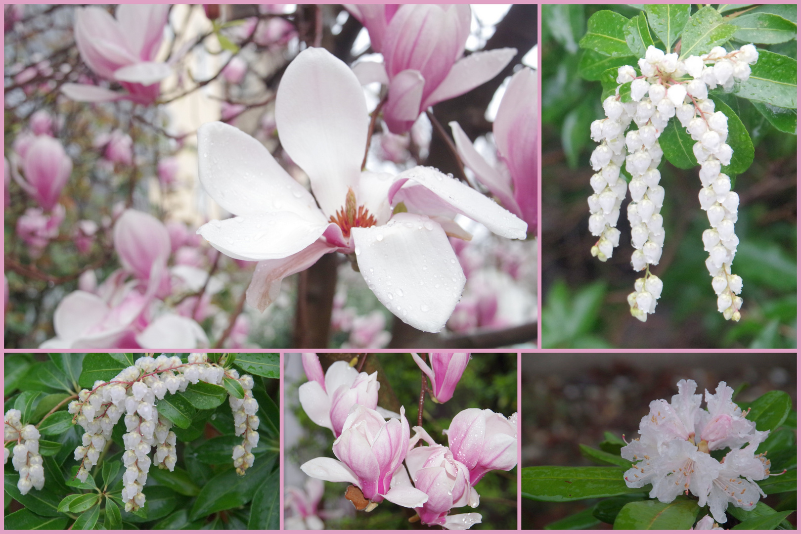 Frühlings-Collage