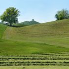 Frühlings-Drumlins