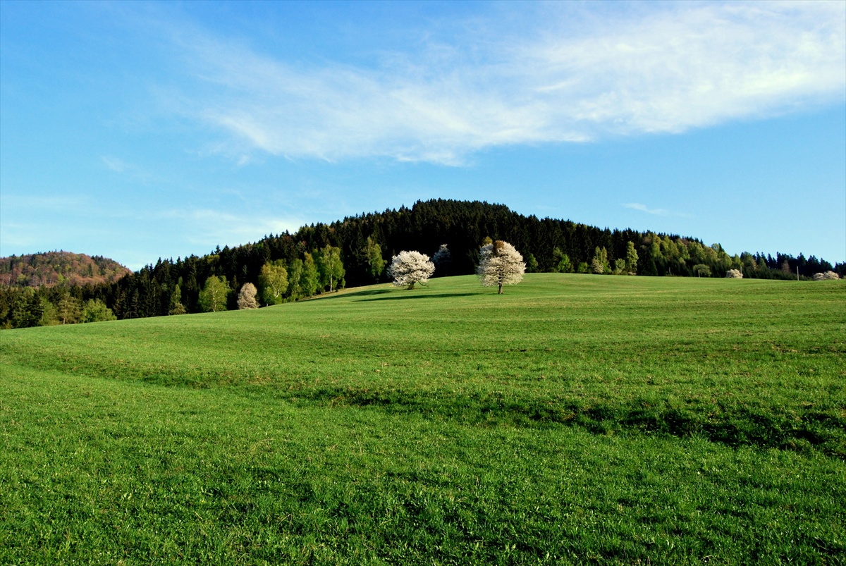 Frühlings.