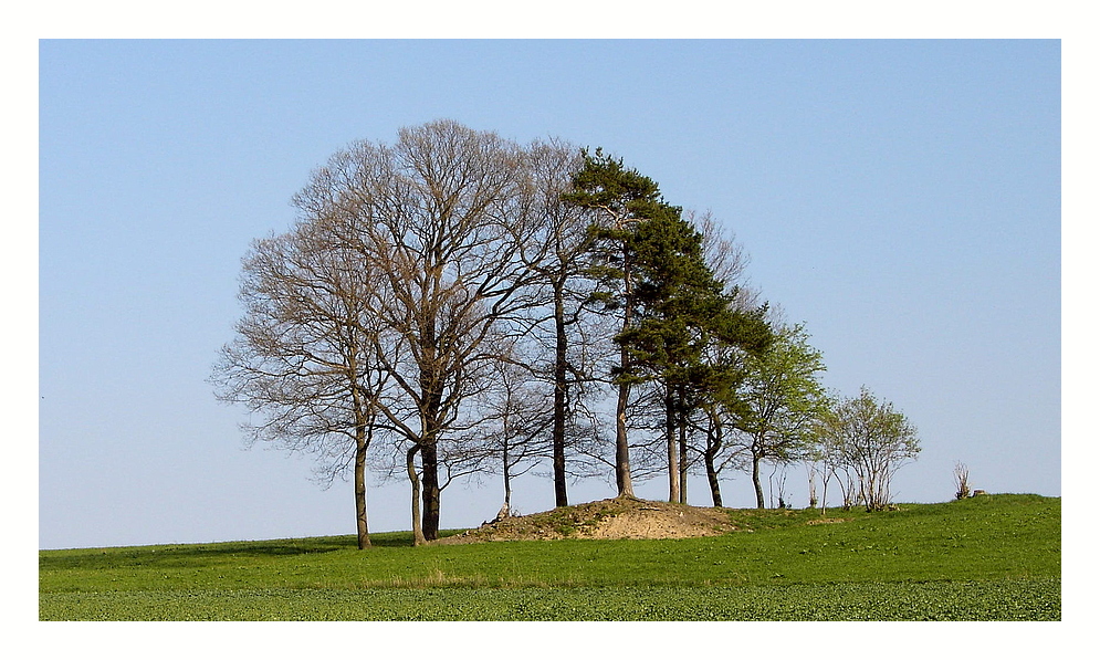 Frühlings Erwachen