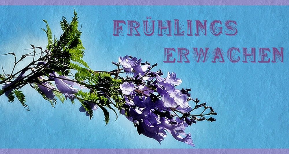 Frühlings erwachen