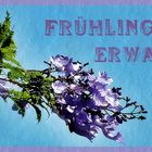 Frühlings erwachen