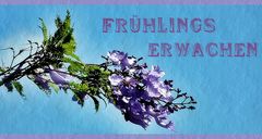 Frühlings erwachen