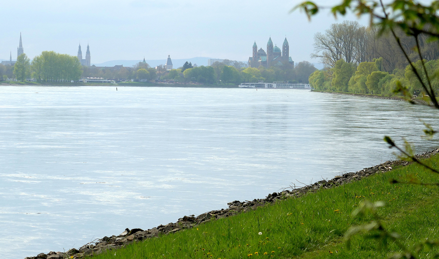 Frühlings Erwachen (6): Rhein bei Speyer